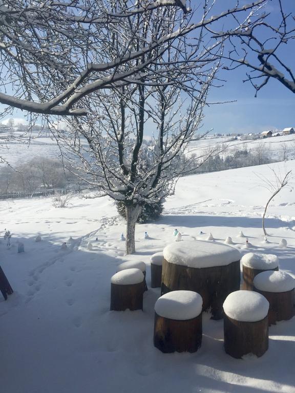 Pensiunea Casa Eden Mărişel Exteriör bild